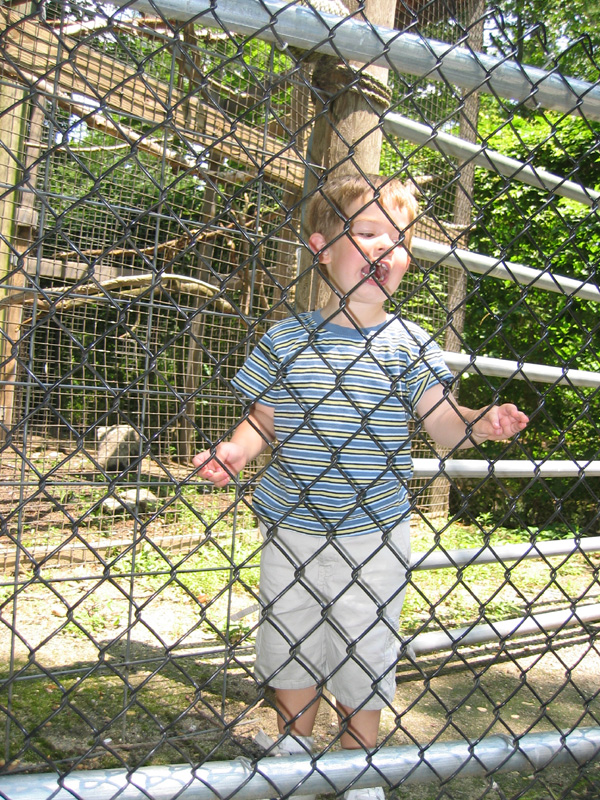 2003-07-11 Sammy at the Zoo 009