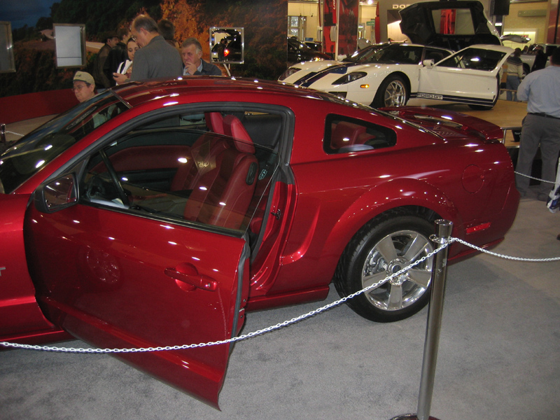 mustang-118_1864