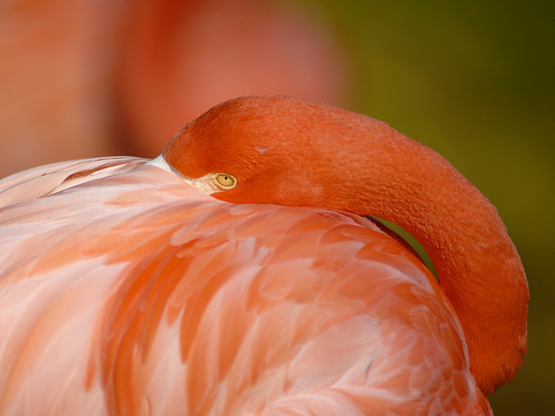 _DSC8370_adobe