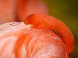 _DSC8370