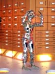 DSCF0666