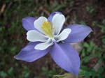 _D202854fuji